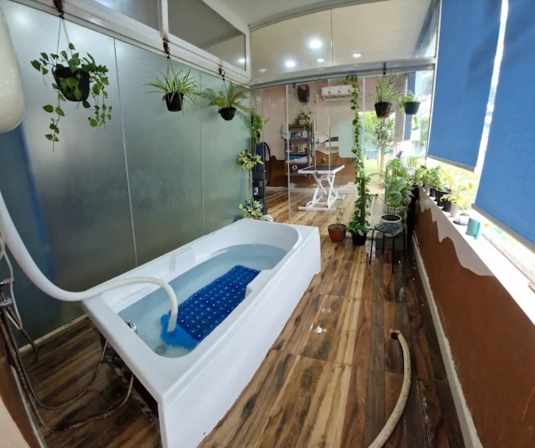 Therpup Pet Salon & Spa, Whitefield