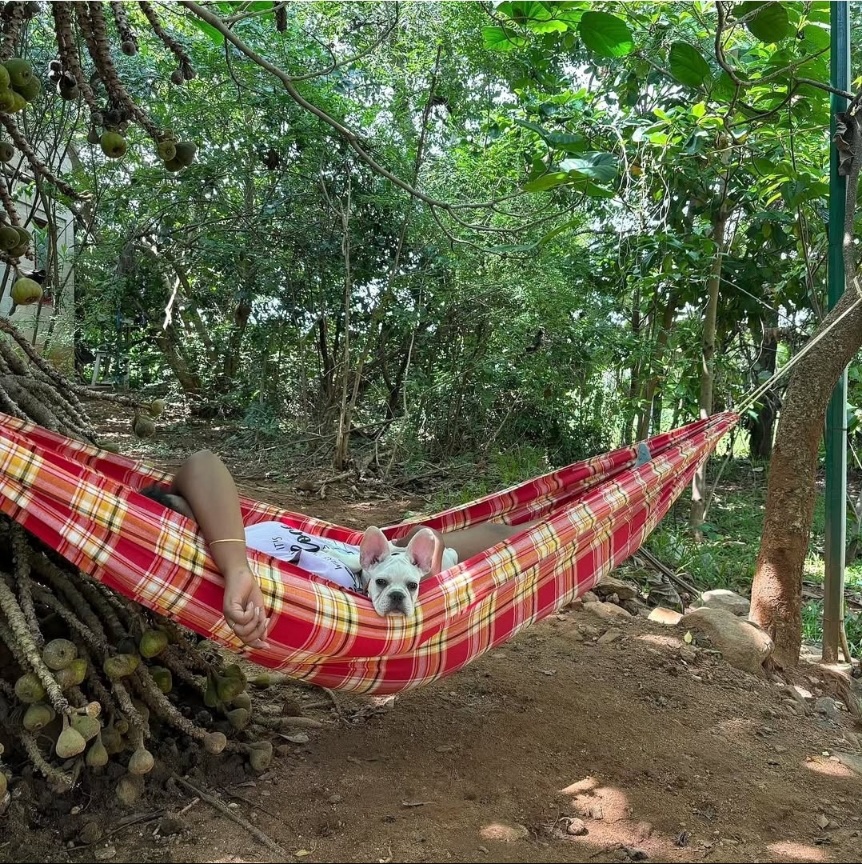 Backyard Camp