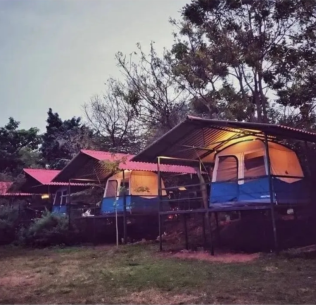 Backyard Camp