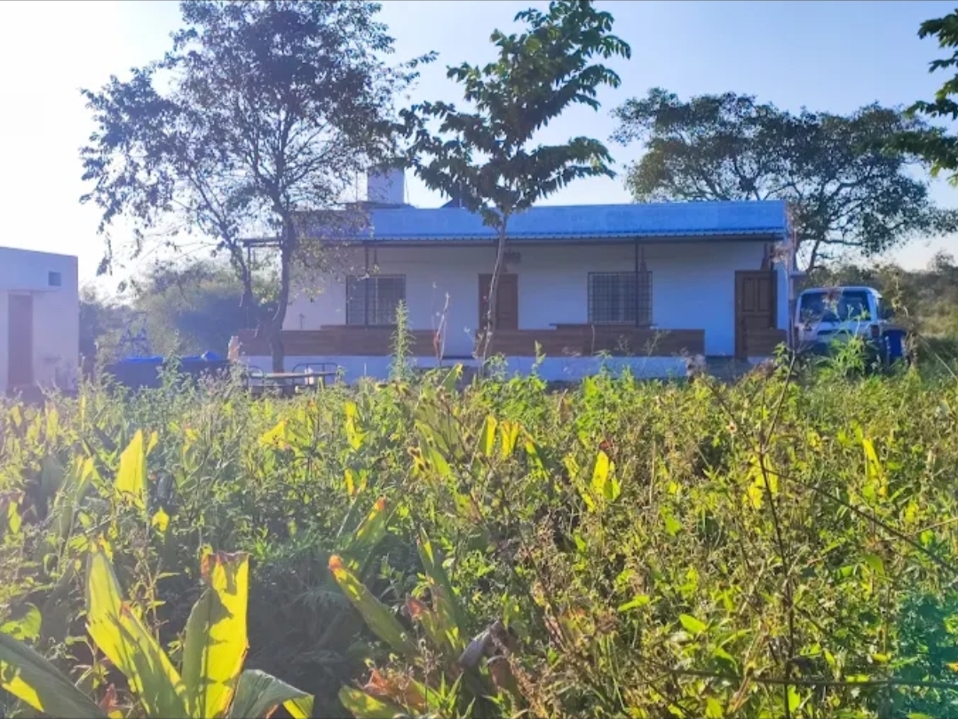 Bandipur Jaguar Homestay