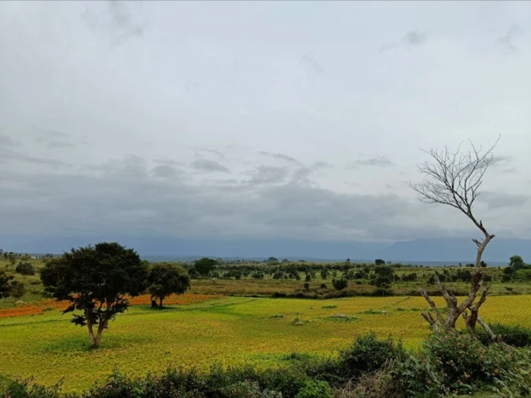 Bandipur Jaguar Homestay