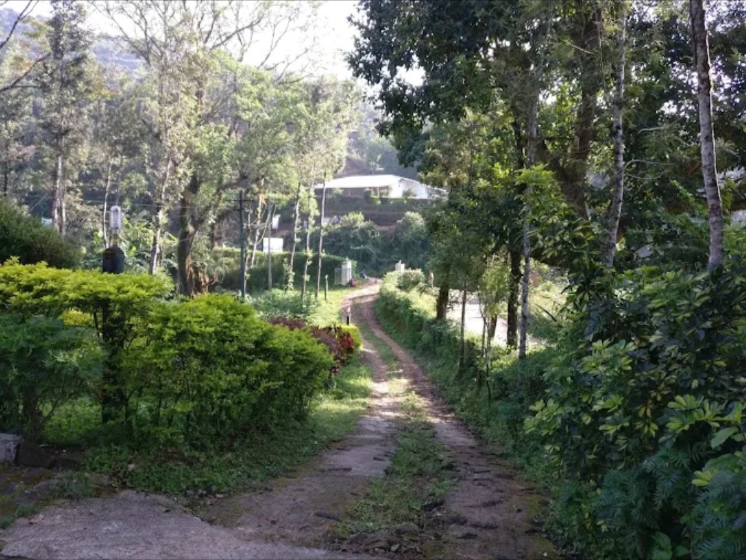 Young Island, Coorg