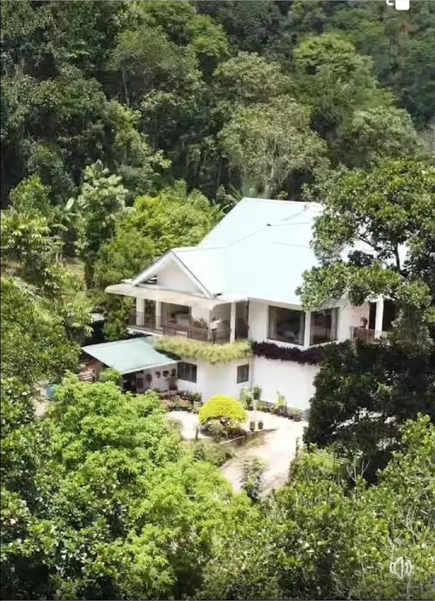 Coffee and Pepper Plantation Homestay