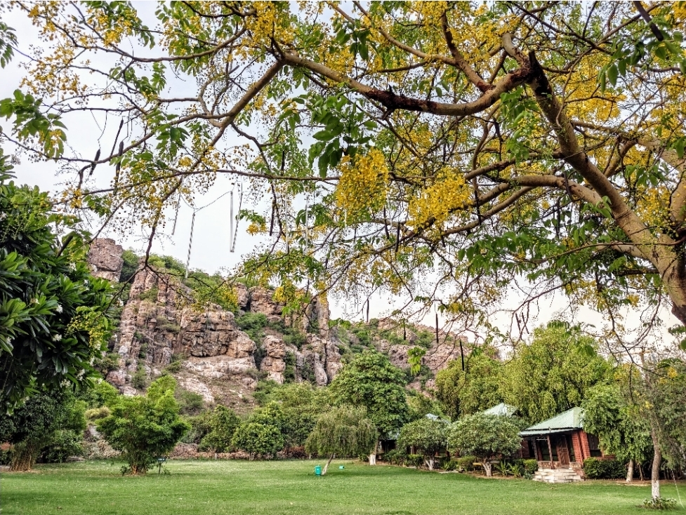 Camp Wild Retreat at Aravali Valley