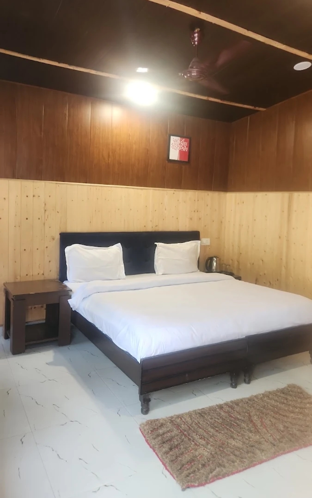 Pine Trails Jungle Camp, Kasauli 