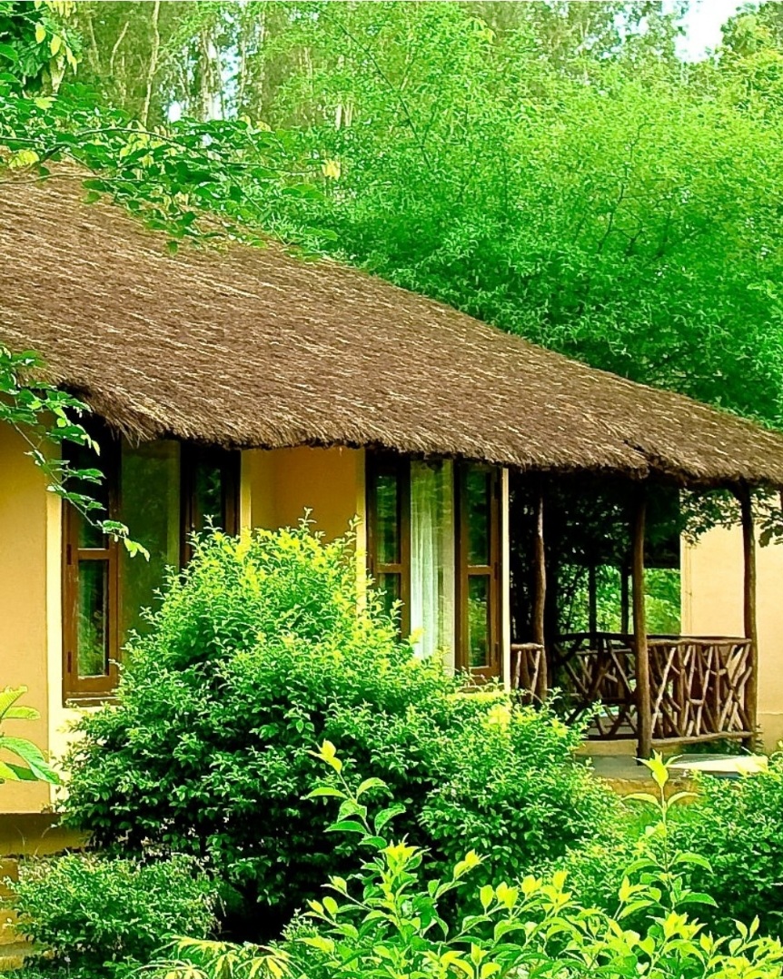 Jim`s Jungle Retreat