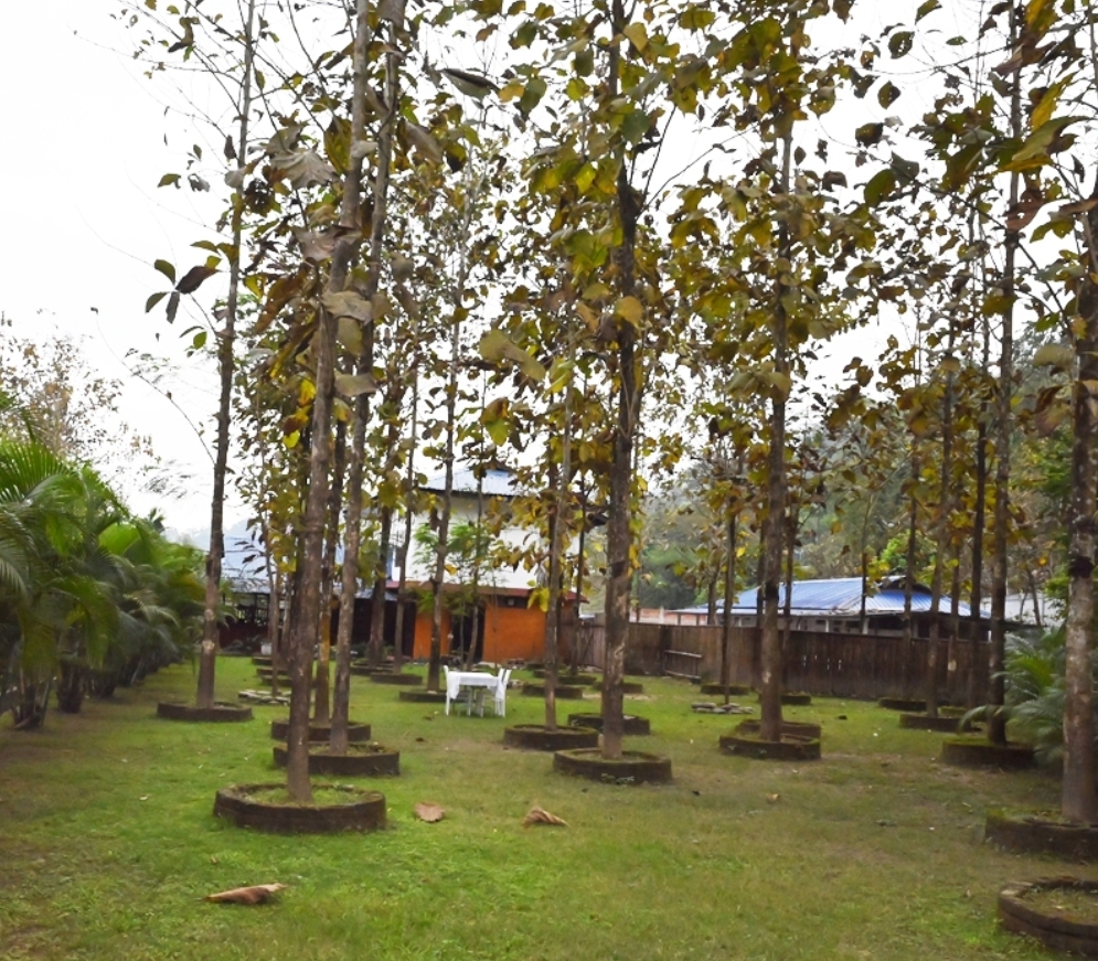Sopo Resort