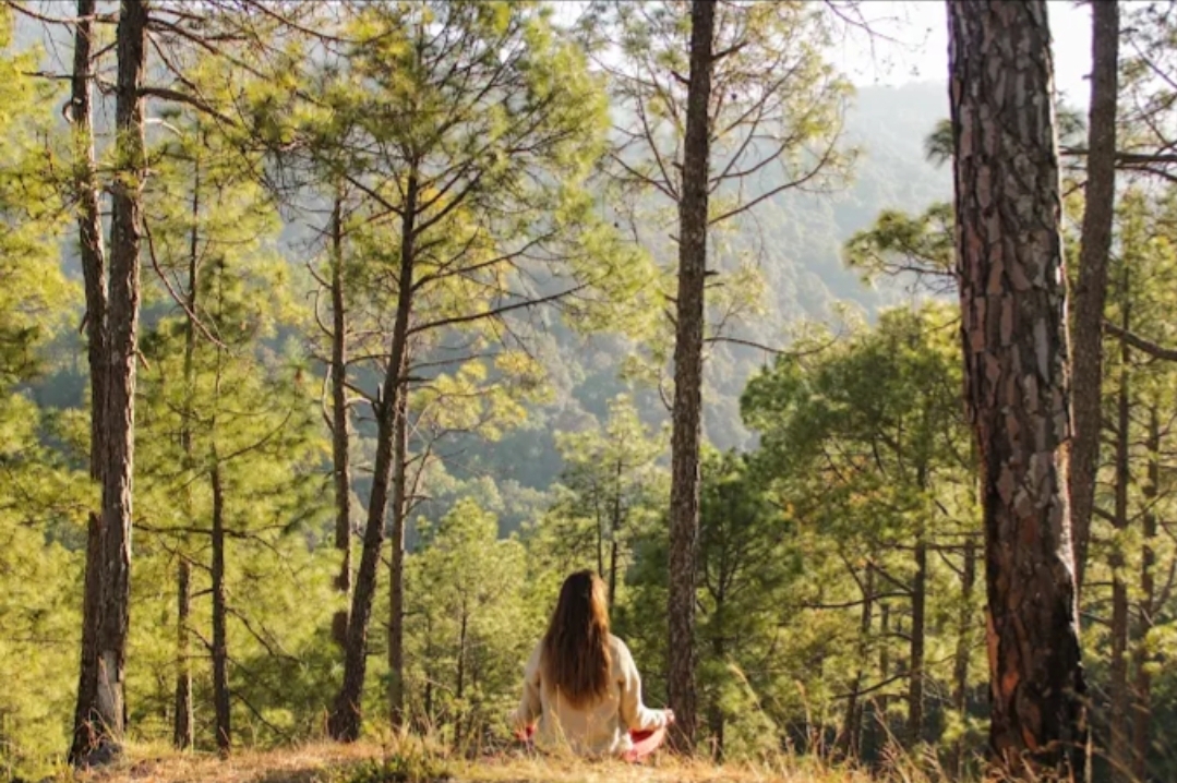 Maati Living Mukteshwar