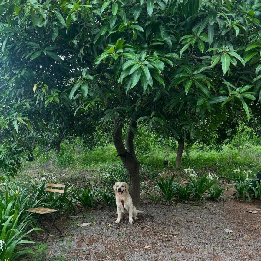 Hornbill Farm Retreat