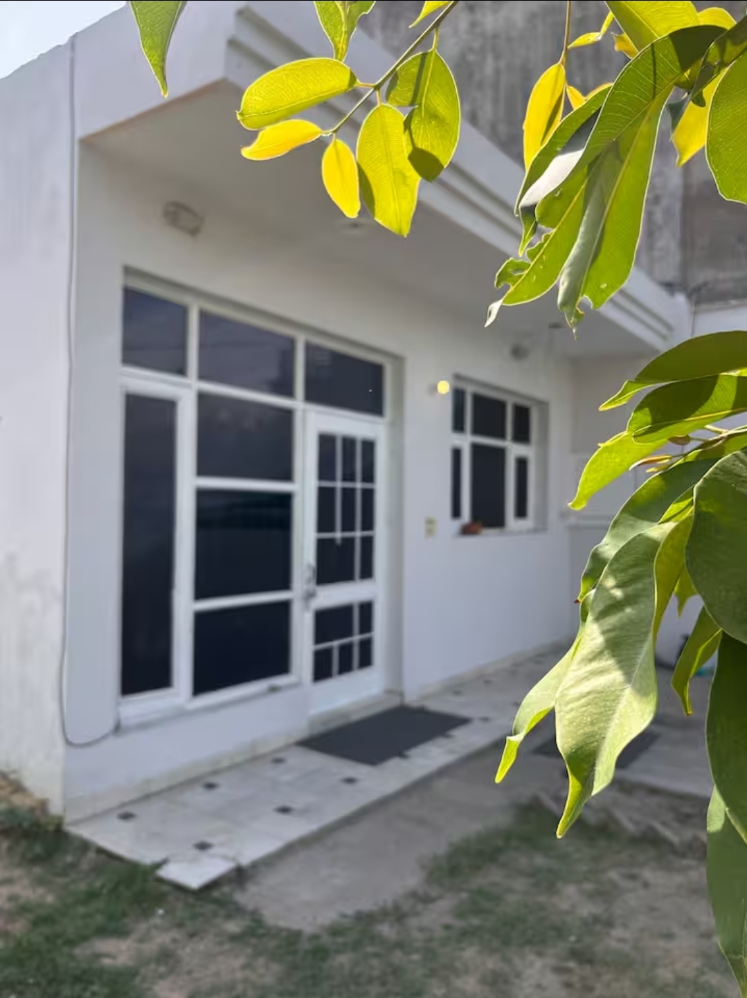 Green House