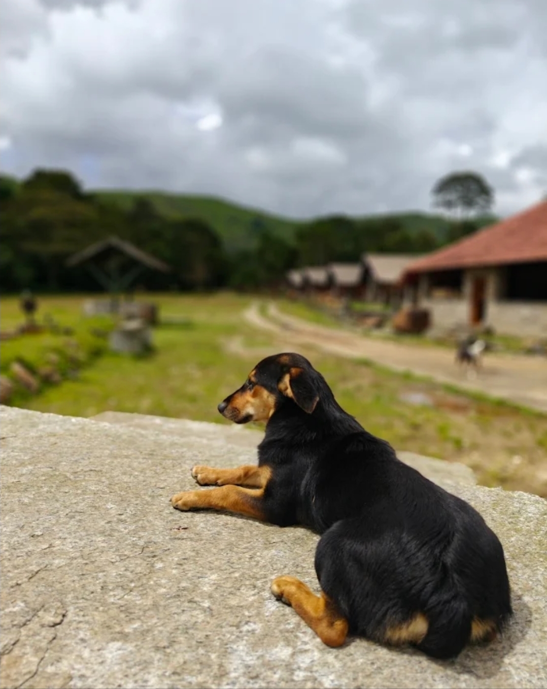 Tanmatrra Eco Luxe Resort