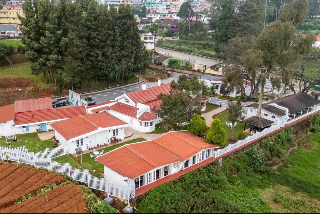 Tiverton Bungalow 