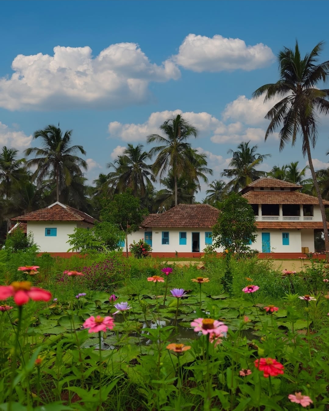 Aavi Beach Retreat by Polika 