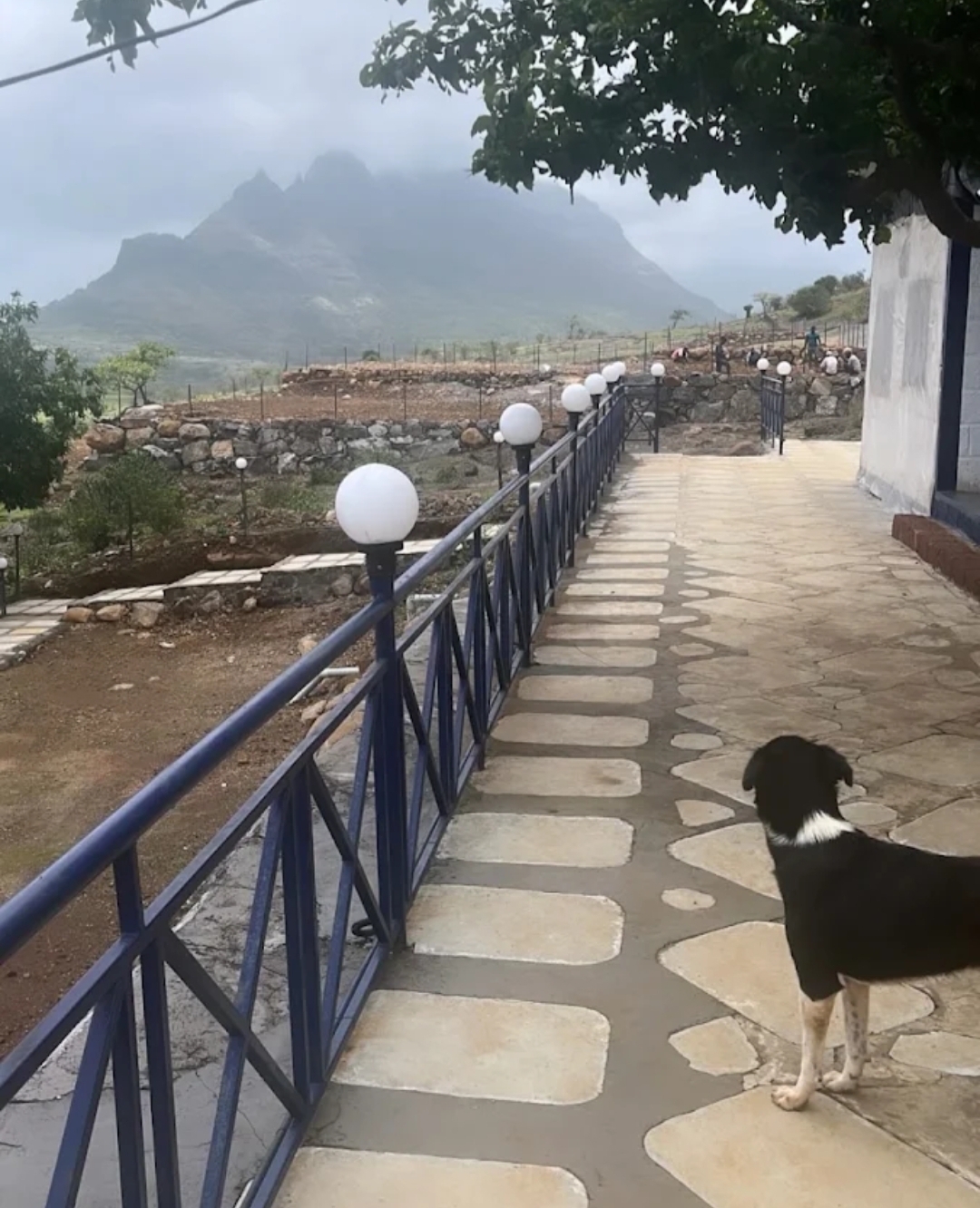 Shantivan Farms And Orchards Resort Naneghat