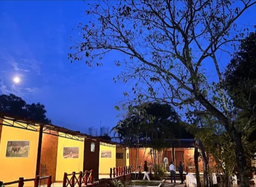 Taal Tiger Retreat