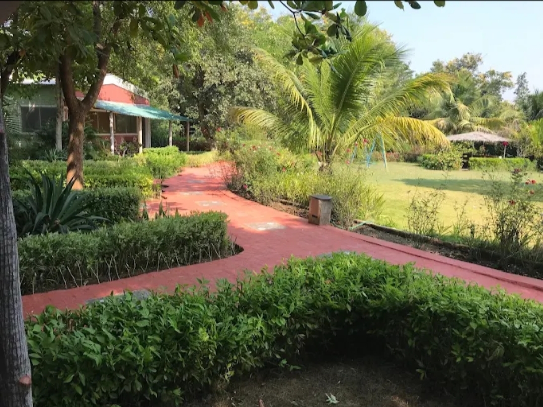 Baaz Jungle Resort