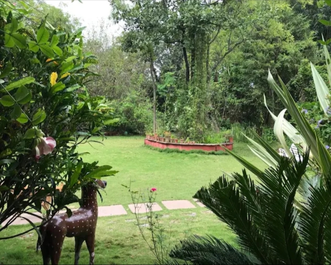 Baaz Jungle Resort