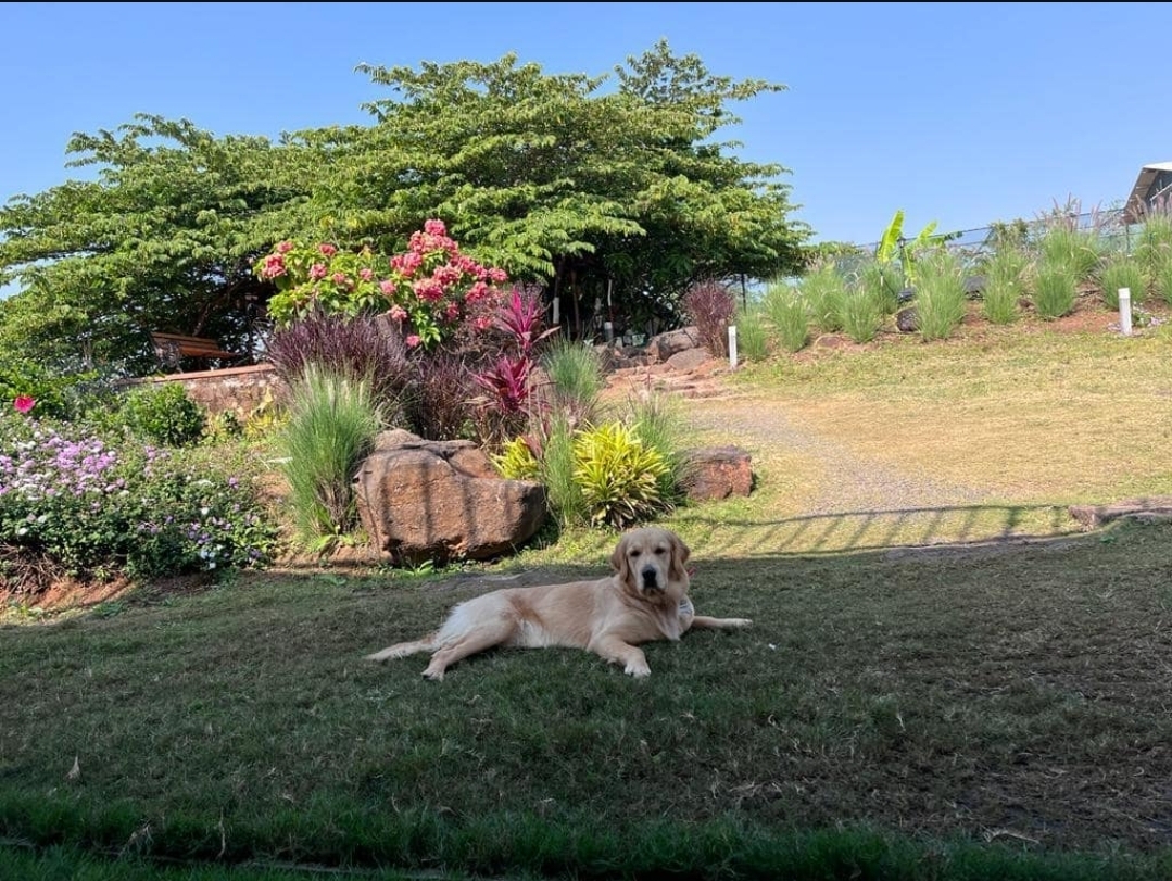 Murambi Farms
