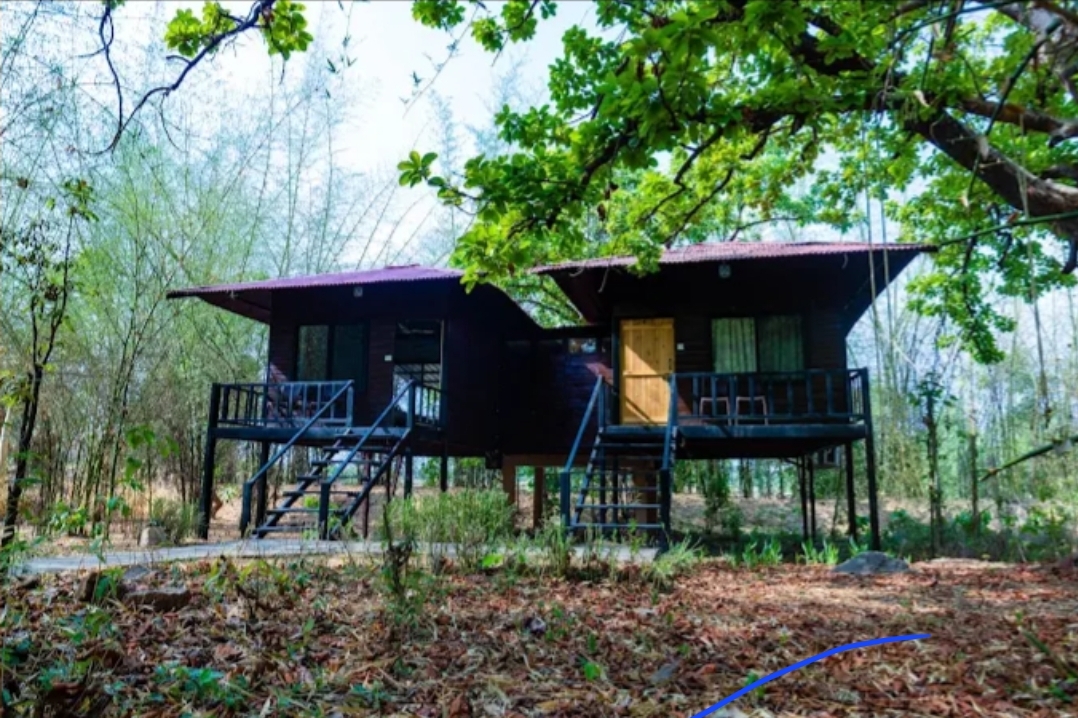 Pench Wilderness Camp