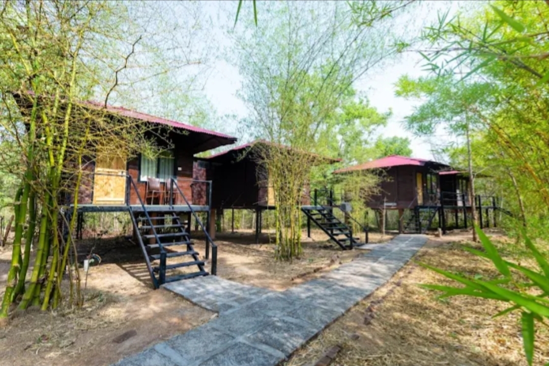 Pench Wilderness Camp