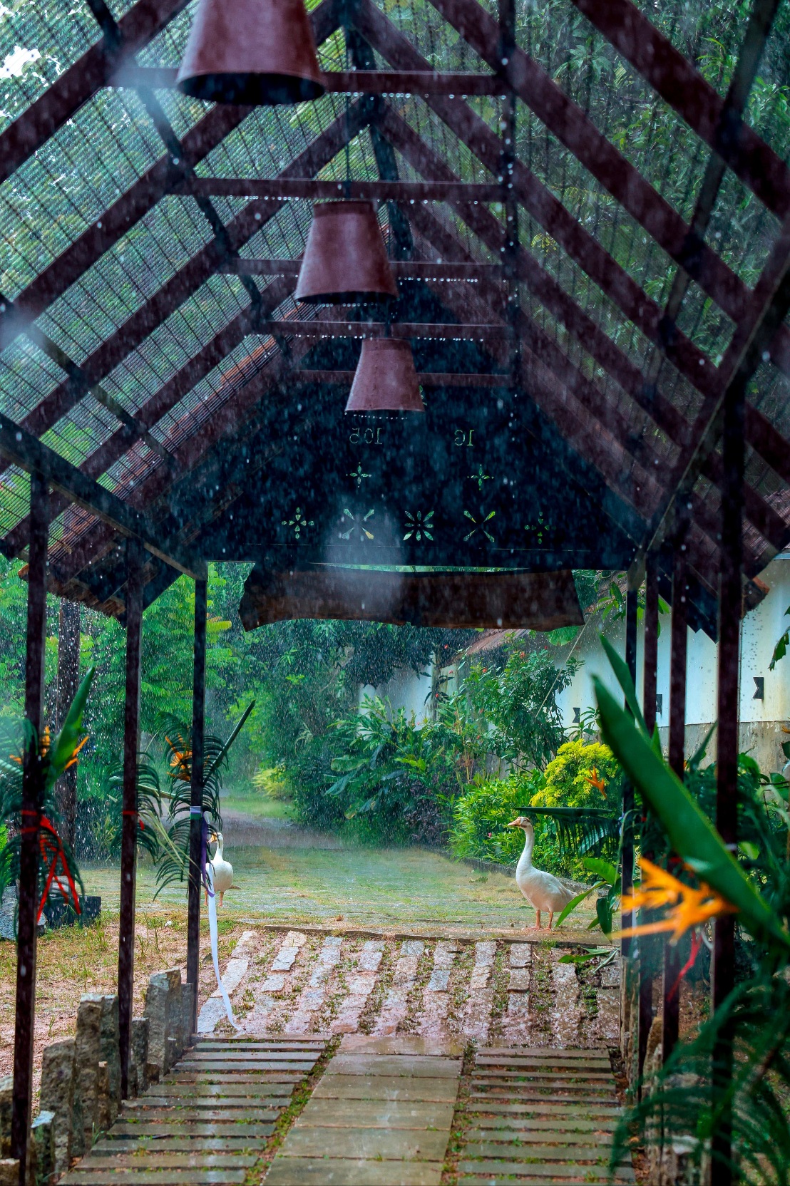 Nellu Tranquil Pool Villa