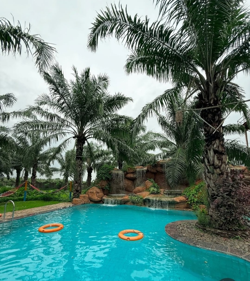Sou Palms