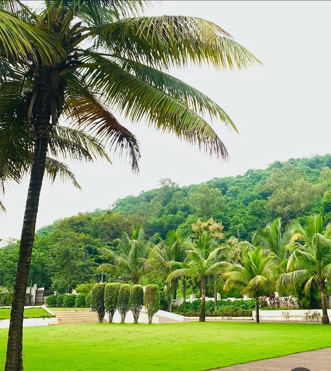 The Emerald Resort