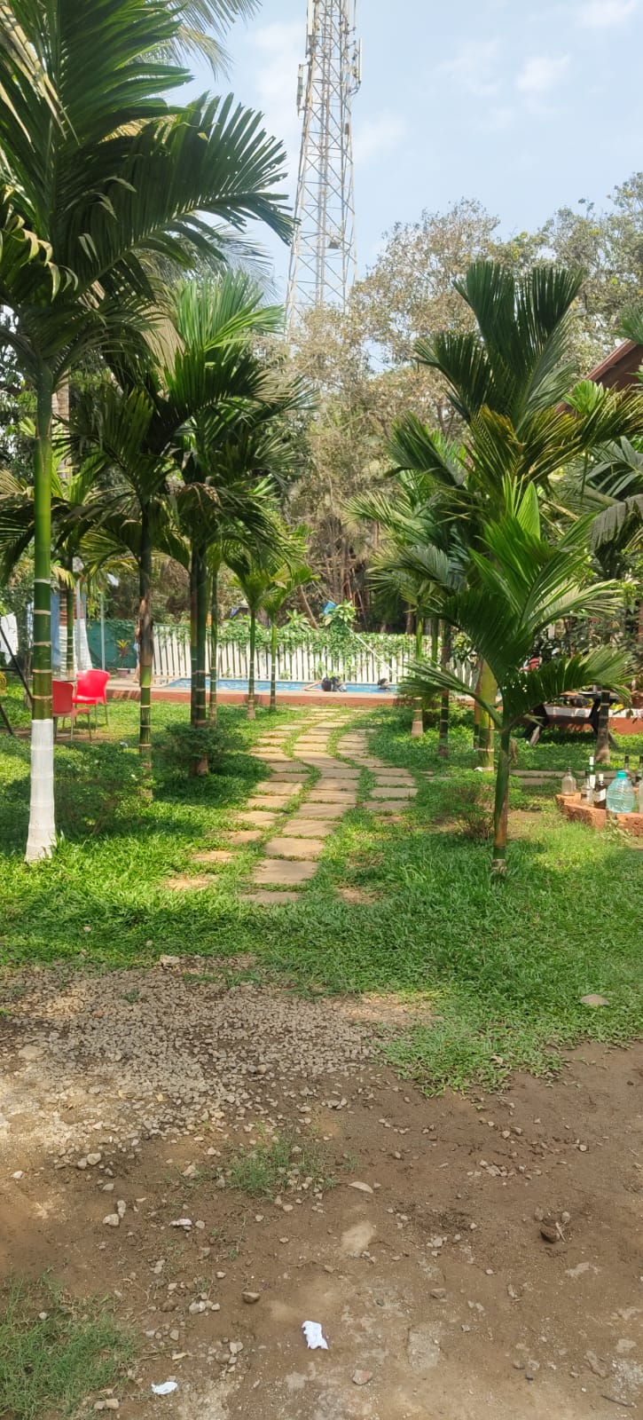 Palm - The Villa, Mandwa