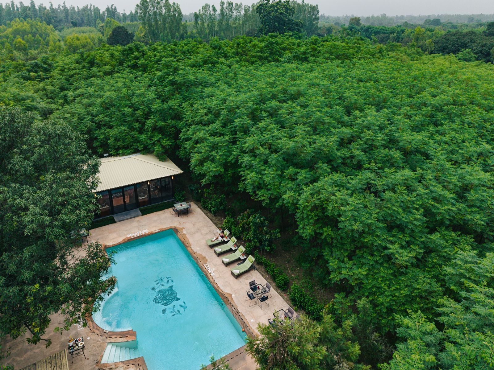 Aalia Jungle Retreat & Spa