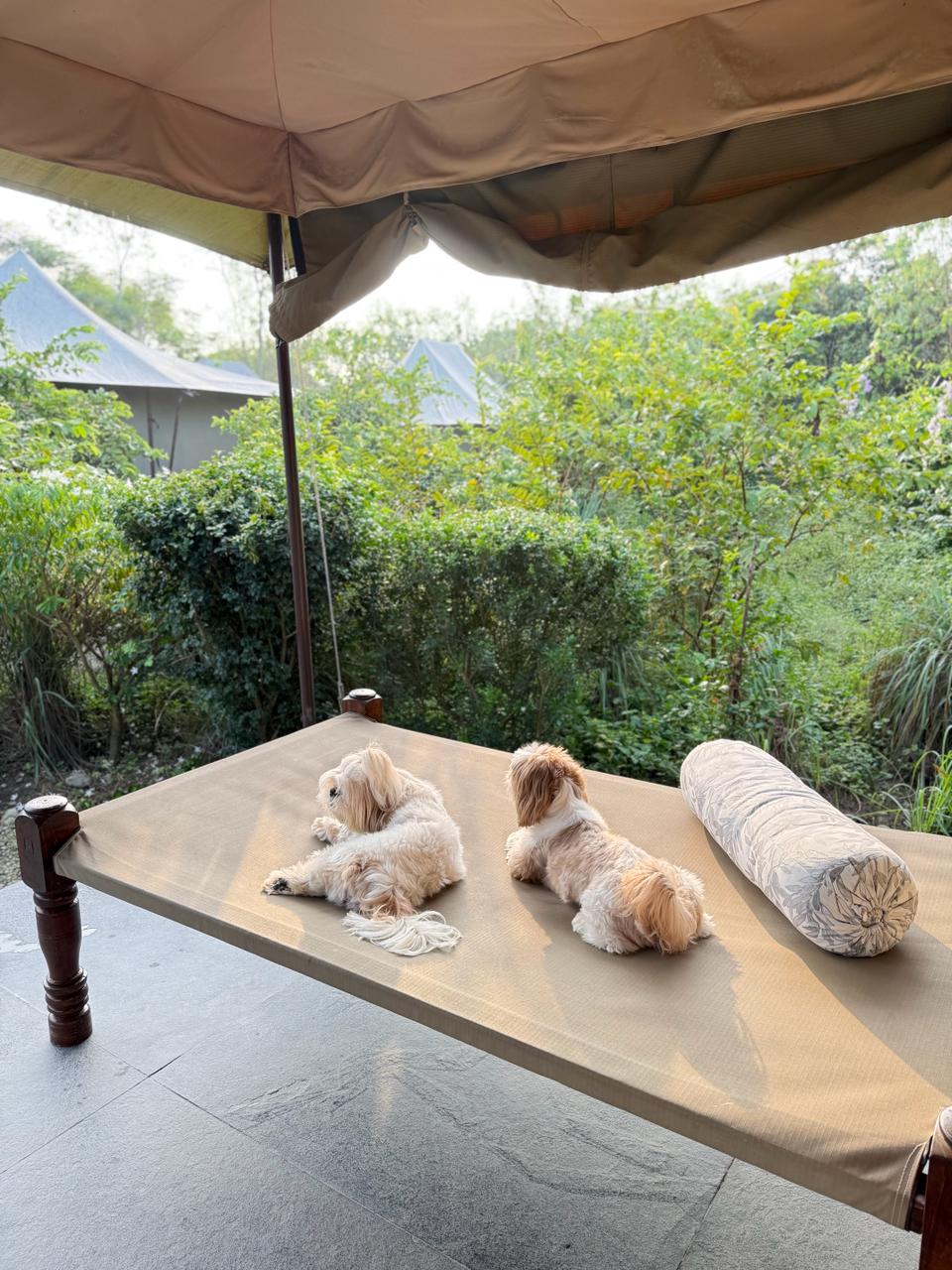 Aalia Jungle Retreat & Spa