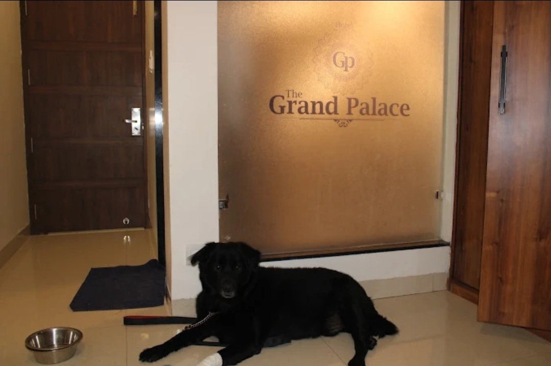 Hotel The Grand Palace, Sagar 