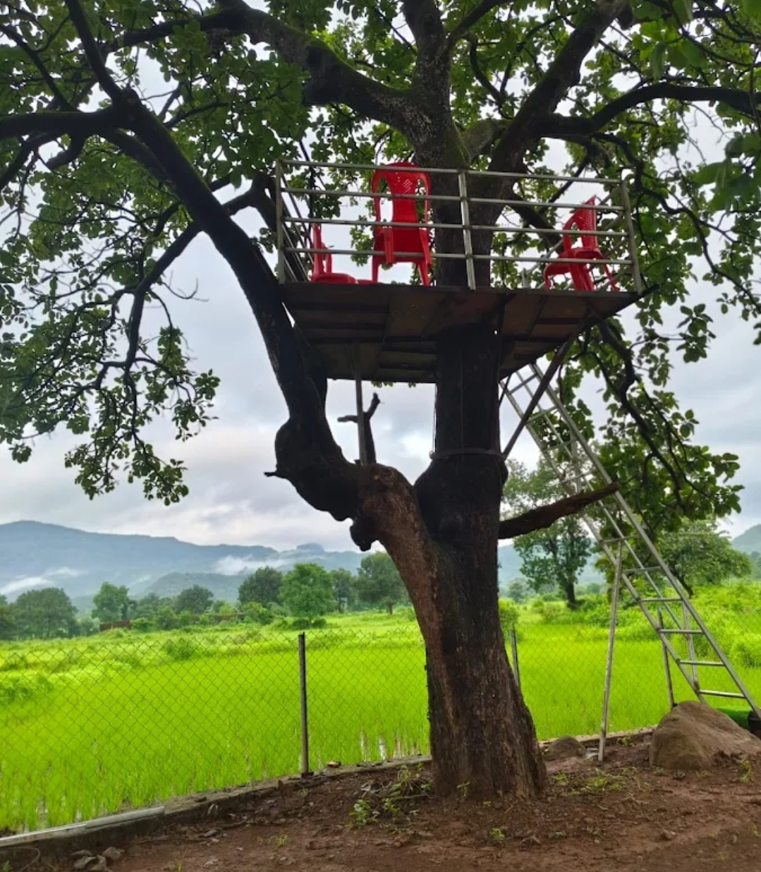 Nature`s Way Farmstay