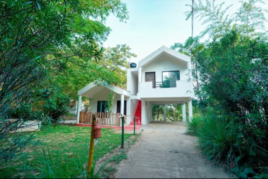 The Jungle Woods Resort