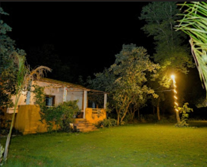 The Jungle Woods Resort