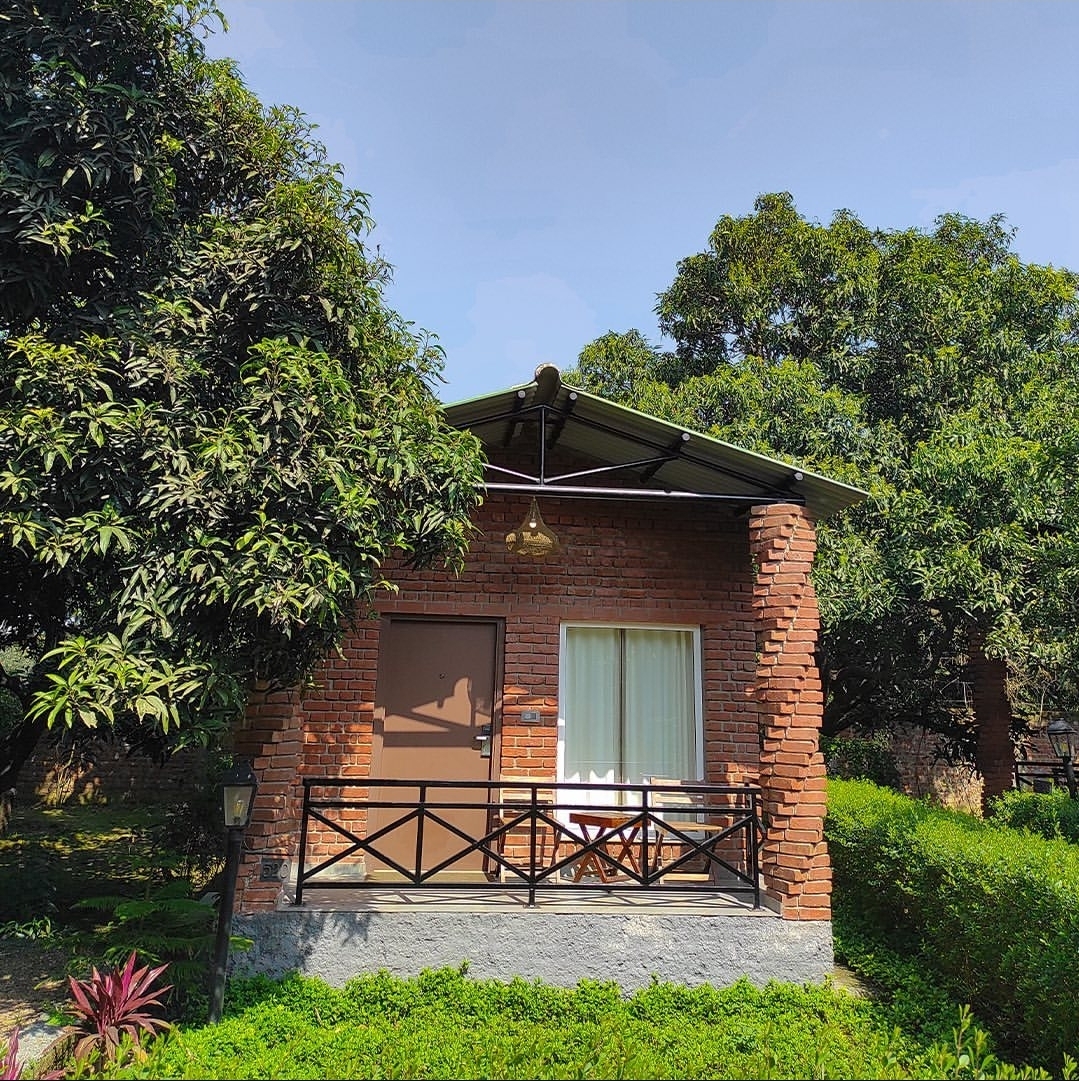 Mango Tree Resorts