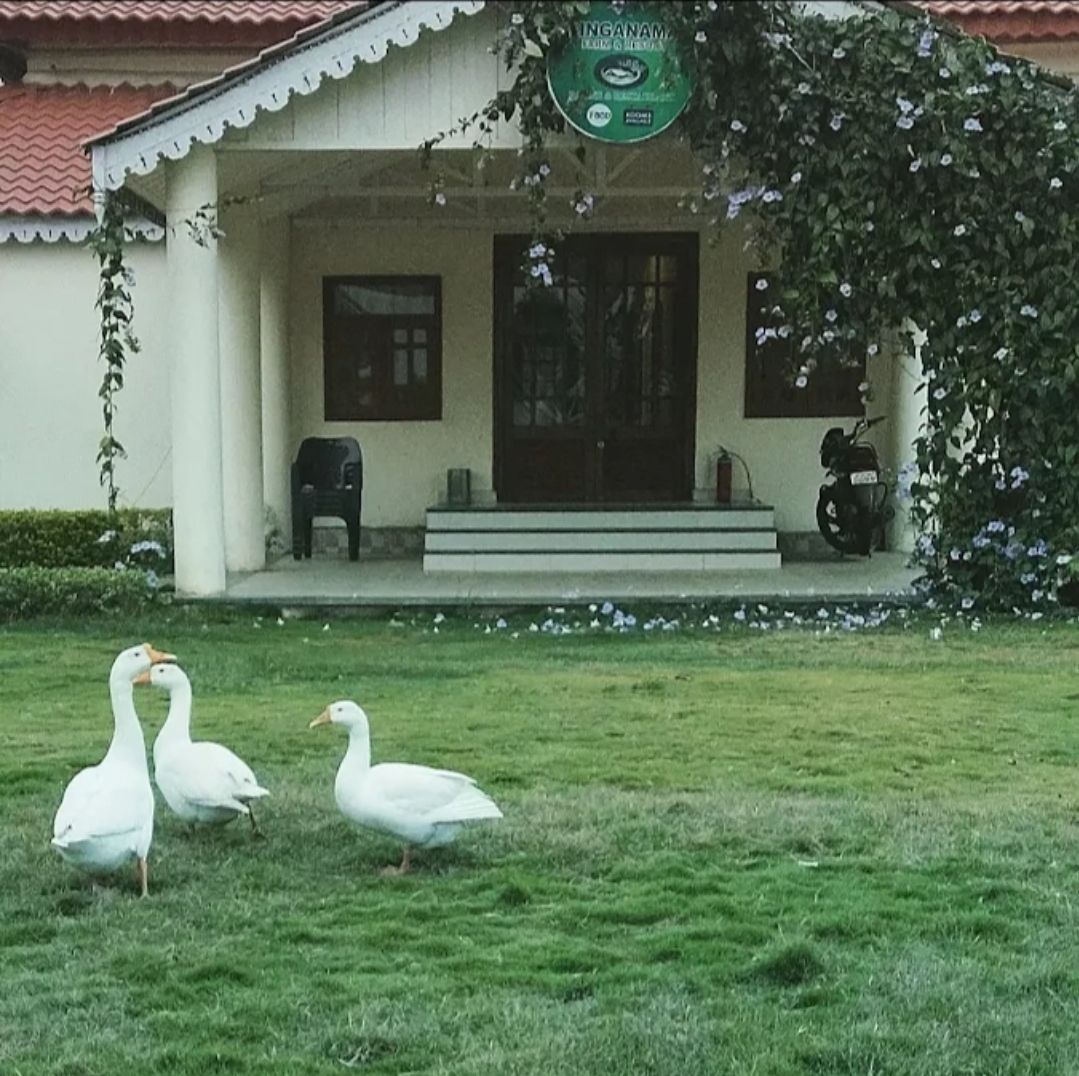 SINGANAMA FARM RESORT