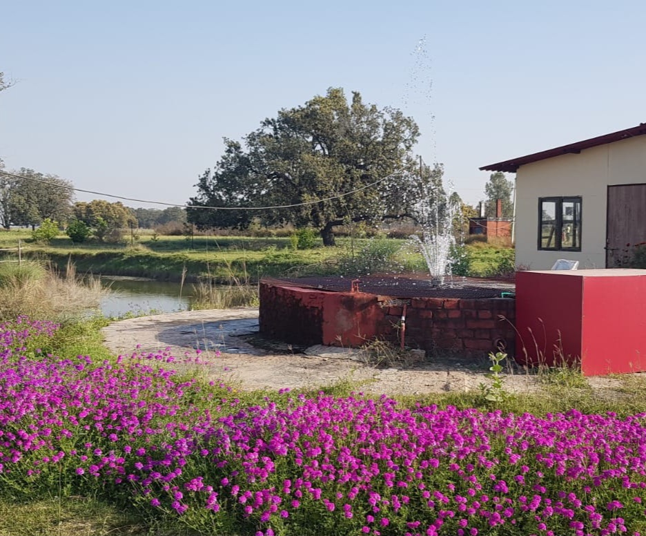 Living Green Farms