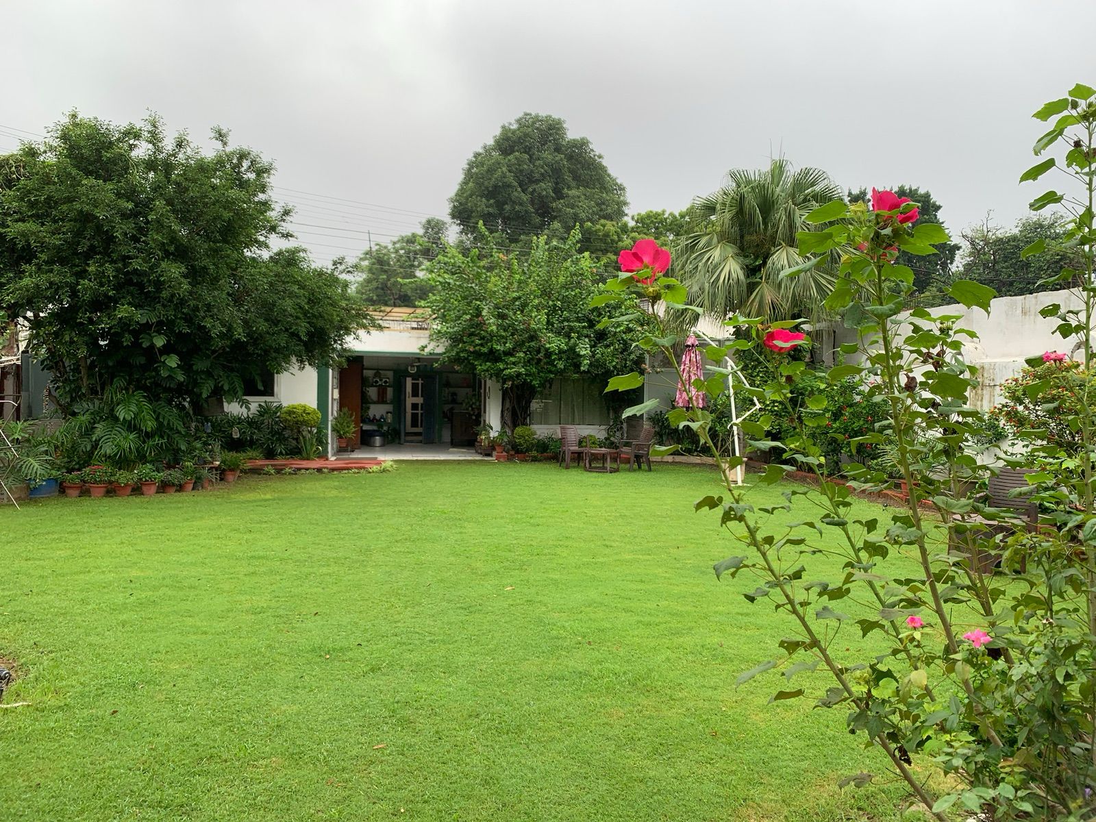 Green Serene Abode