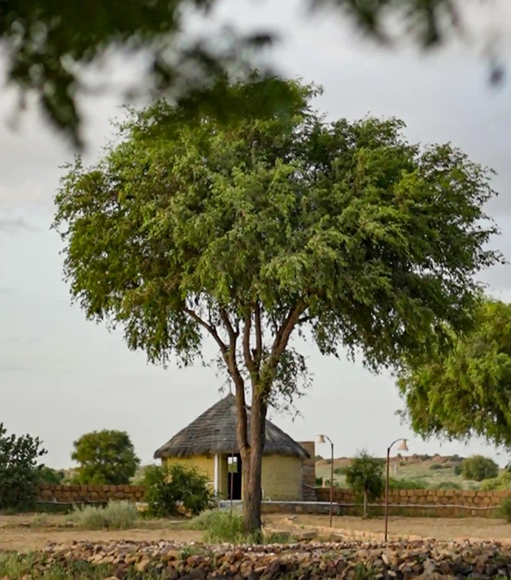 Dreamtime Bungalows