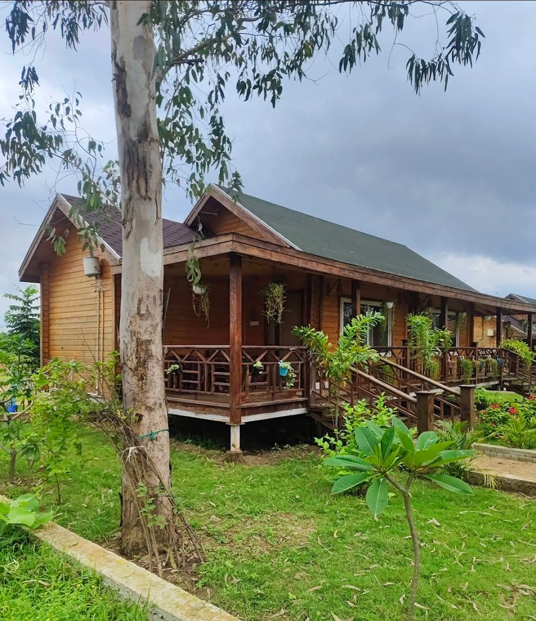 Nature`s Nest Kanha