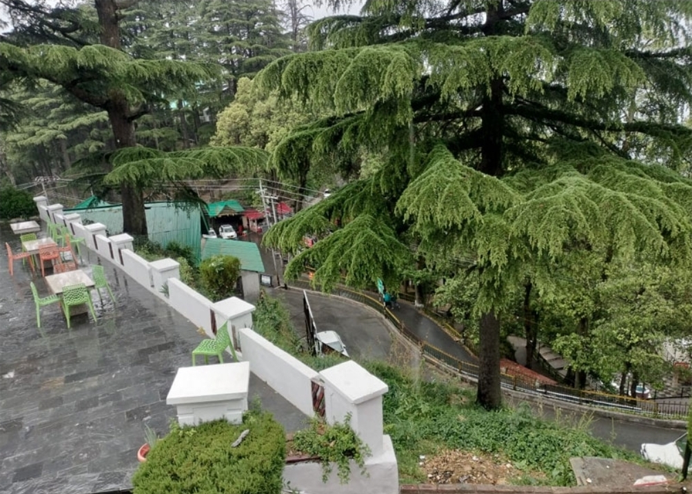 Hotel New Metro Dalhousie