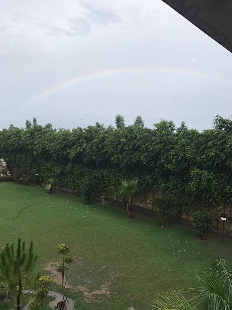 Blessing Farms