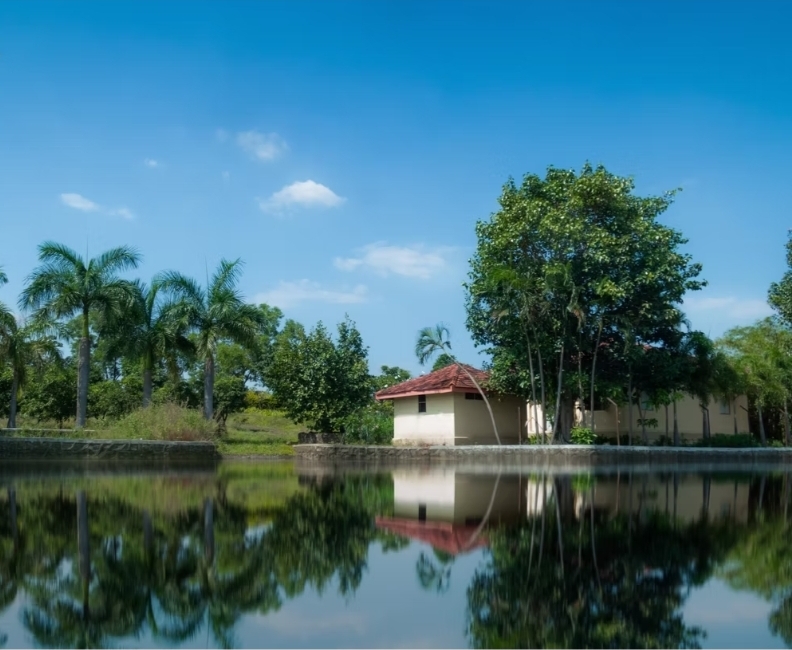 Yana Farms | Boutique Villa