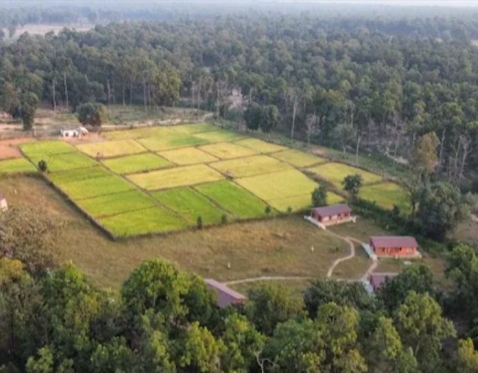 Atulya Kanchi Camp Bandhavgarh National Park