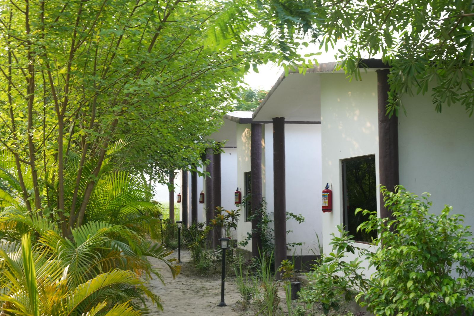 Earth Home Katarniaghat