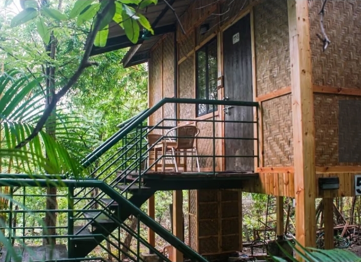 Nature Trails Sajan