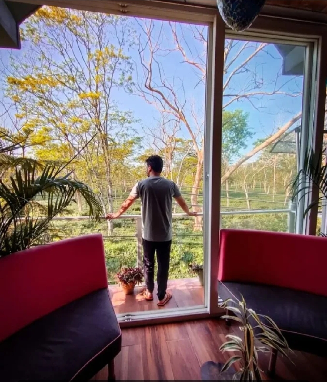 Homestay by The Tea Garden