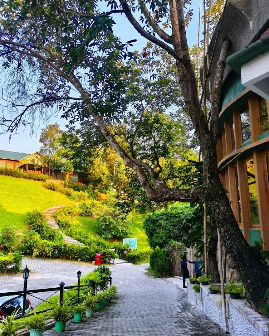 Mandu, The Escape Resort, Kaziranga