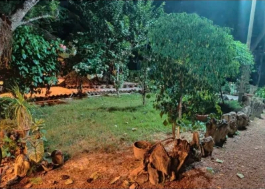 SANTINIKETAN HOMESTAY BICHITRITA