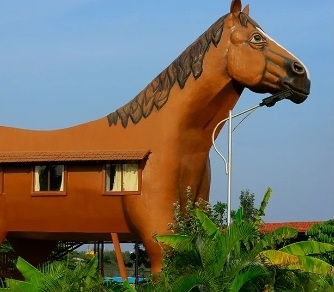 Champions Ranch – Wellness Farm Stay & Horse Riding Retreat